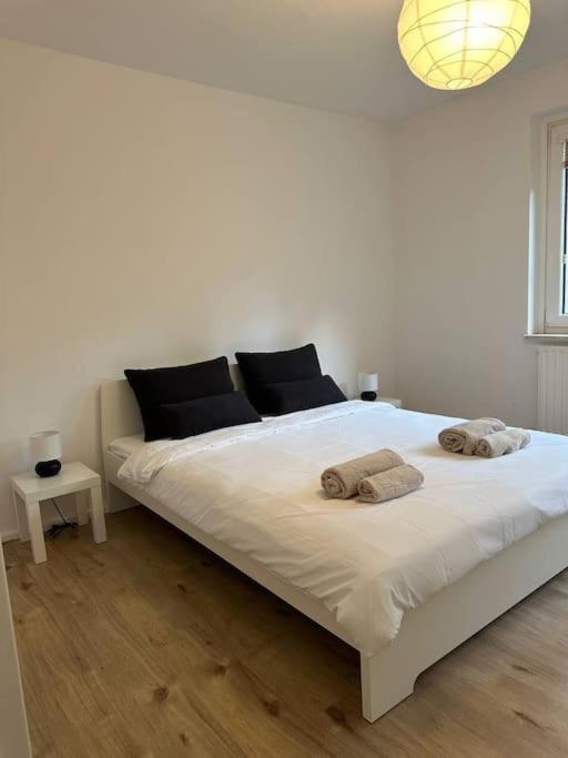Comfortable And Spacious Berlin